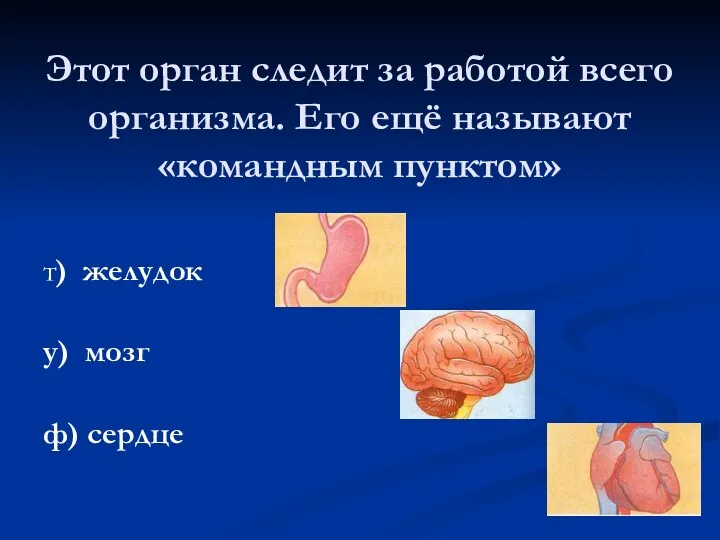 Этот орган следит за работой всего организма. Его ещё называют