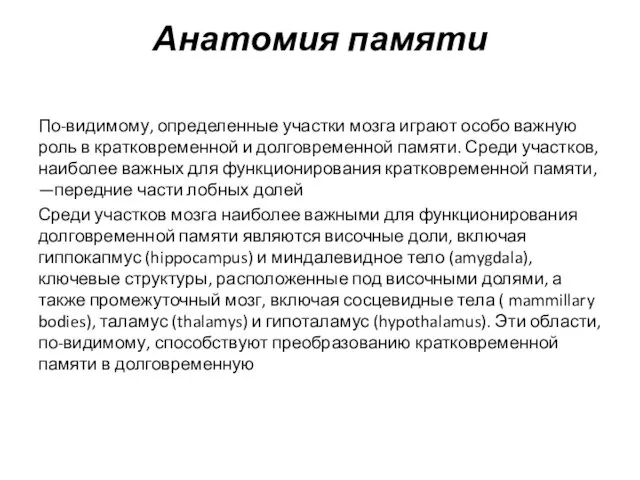 Анатомия памяти По-видимому, определенные участки мозга играют особо важную роль