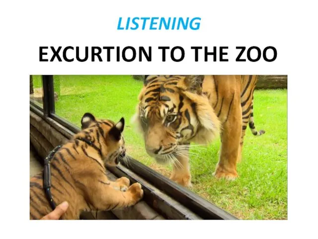 LISTENING EXCURTION TO THE ZOO