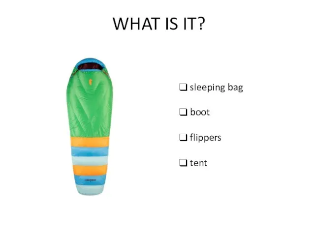 WHAT IS IT? sleeping bag boot flippers tent