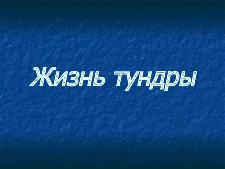 Жизнь тундры