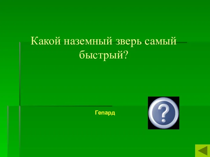 Какой наземный зверь самый быстрый? Гепард