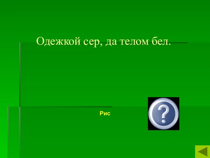 Одежкой сер, да телом бел. Рис