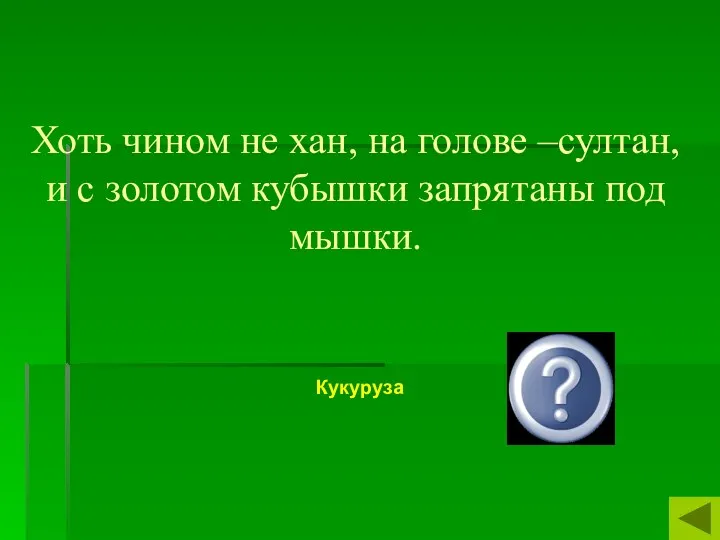 Хоть чином не хан, на голове –султан, и с золотом кубышки запрятаны под мышки. Кукуруза