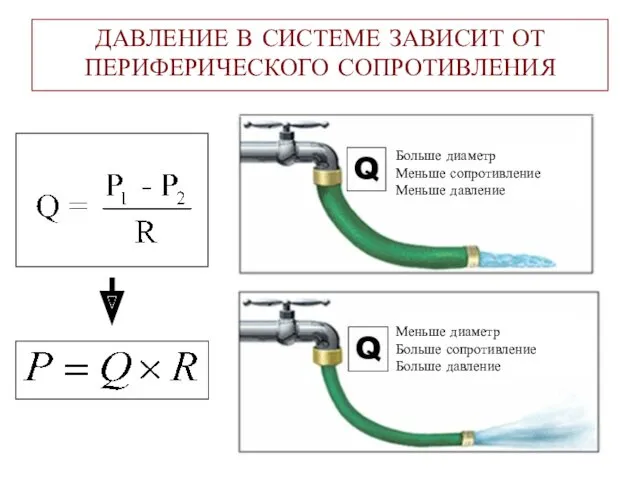 ДАВЛЕНИЕ В СИСТЕМЕ ЗАВИСИТ ОТ ПЕРИФЕРИЧЕСКОГО СОПРОТИВЛЕНИЯ Больше диаметр Меньше