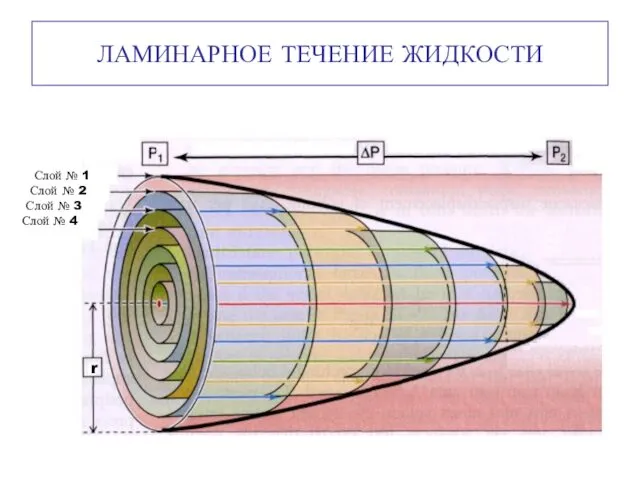 ЛАМИНАРНОЕ ТЕЧЕНИЕ ЖИДКОСТИ Слой № 1 Слой № 2 Слой № 3 Слой № 4 r