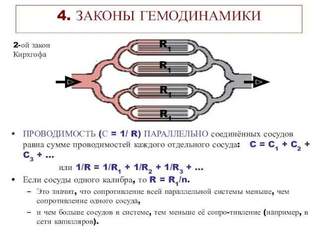 4. ЗАКОНЫ ГЕМОДИНАМИКИ ПРОВОДИМОСТЬ (С = 1/ R) ПАРАЛЛЕЛЬНО соединённых