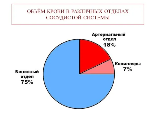 ОБЪЁМ КРОВИ В РАЗЛИЧНЫХ ОТДЕЛАХ СОСУДИСТОЙ СИСТЕМЫ