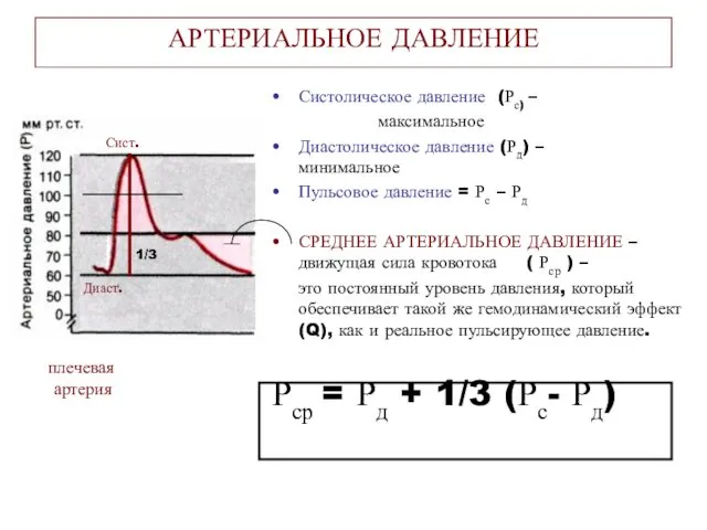 АРТЕРИАЛЬНОЕ ДАВЛЕНИЕ Систолическое давление (Рс) – максимальное Диастолическое давление (Рд)