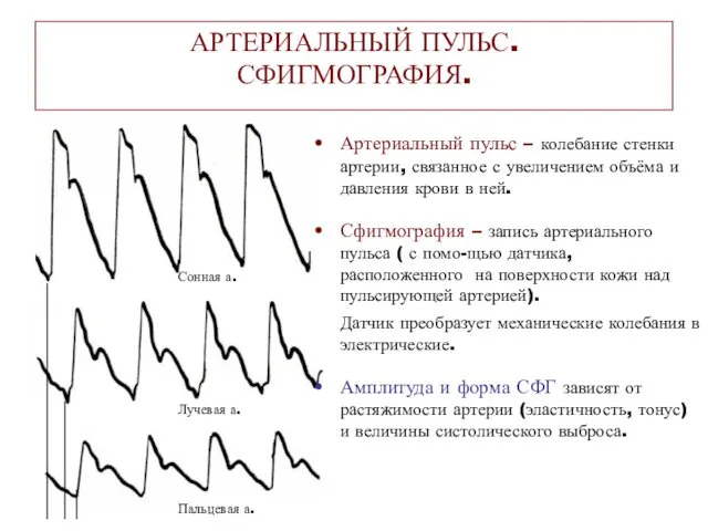 АРТЕРИАЛЬНЫЙ ПУЛЬС. СФИГМОГРАФИЯ. Артериальный пульс – колебание стенки артерии, связанное