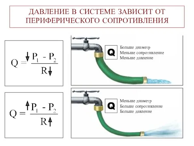 ДАВЛЕНИЕ В СИСТЕМЕ ЗАВИСИТ ОТ ПЕРИФЕРИЧЕСКОГО СОПРОТИВЛЕНИЯ Q Q Больше