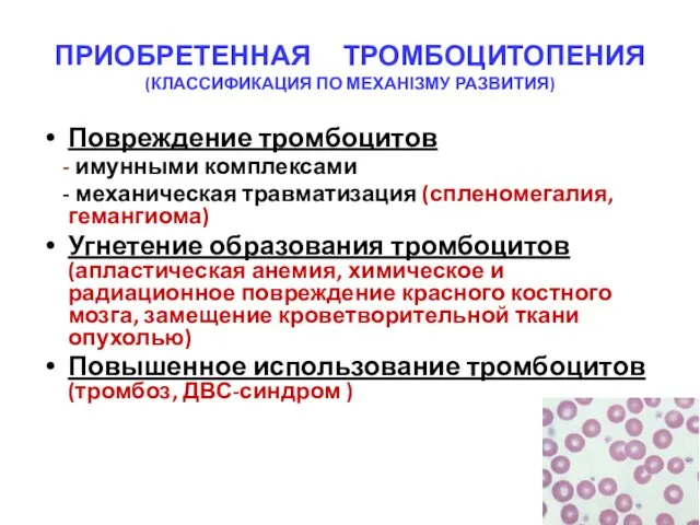 ПРИОБРЕТЕННАЯ ТРОМБОЦИТОПЕНИЯ (КЛАССИФИКАЦИЯ ПО МЕХАНІЗМУ РАЗВИТИЯ) Повреждение тромбоцитов - имунными