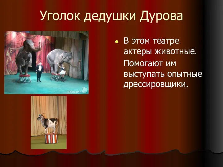 Уголок дедушки Дурова В этом театре актеры животные. Помогают им выступать опытные дрессировщики.