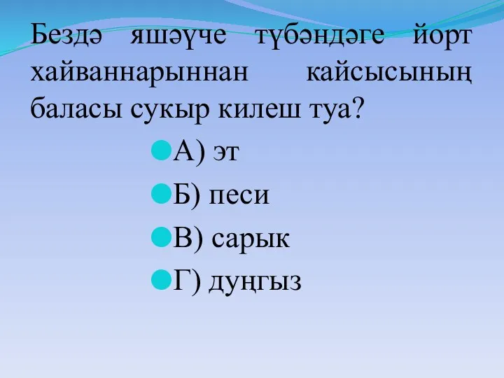 Бездә яшәүче түбәндәге йорт хайваннарыннан кайсысының баласы сукыр килеш туа?