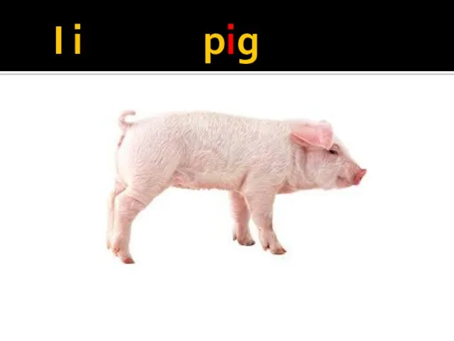 I i pig