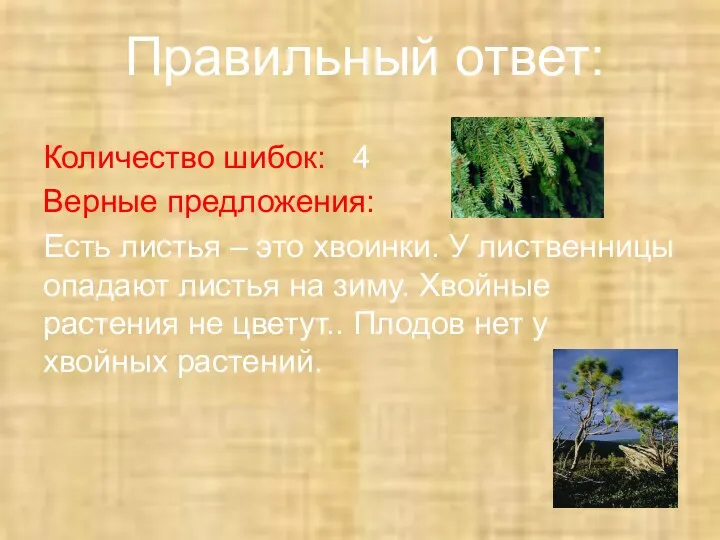 Количество шибок: 4 Верные предложения: Есть листья – это хвоинки.