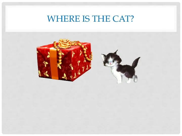 Where is the cat?
