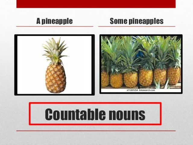 Countable nouns A pineapple Some pineapples