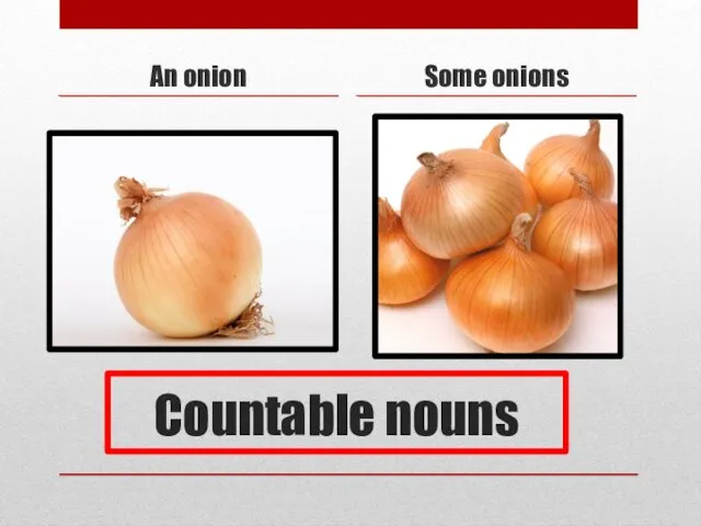 Countable nouns An onion Some onions