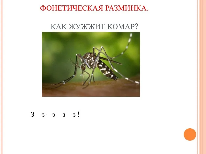 ФОНЕТИЧЕСКАЯ РАЗМИНКА. КАК ЖУЖЖИТ КОМАР? З – з – з – з – з !