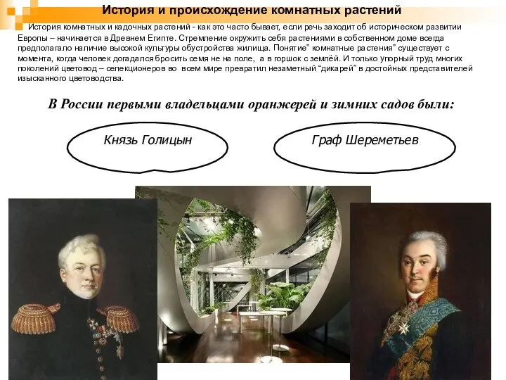 История и происхождение комнатных растений История комнатных и кадочных растений - как это