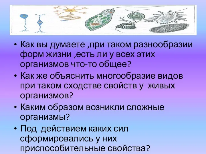 Как вы думаете ,при таком разнообразии форм жизни ,есть ли у всех этих