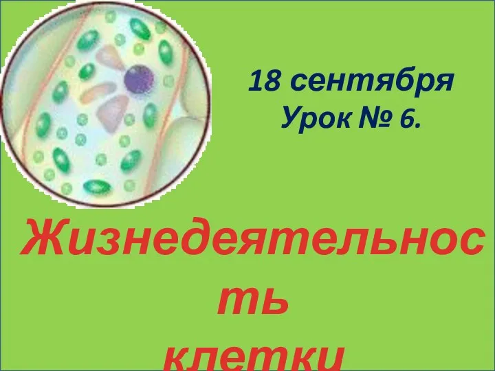 Жизнедеятельность клетки 18 сентября Урок № 6.