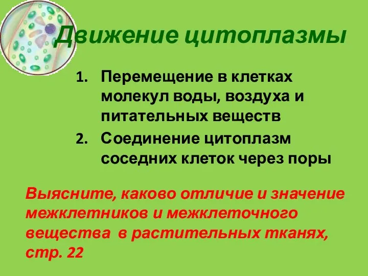 Движение цитоплазмы Перемещение в клетках молекул воды, воздуха и питательных