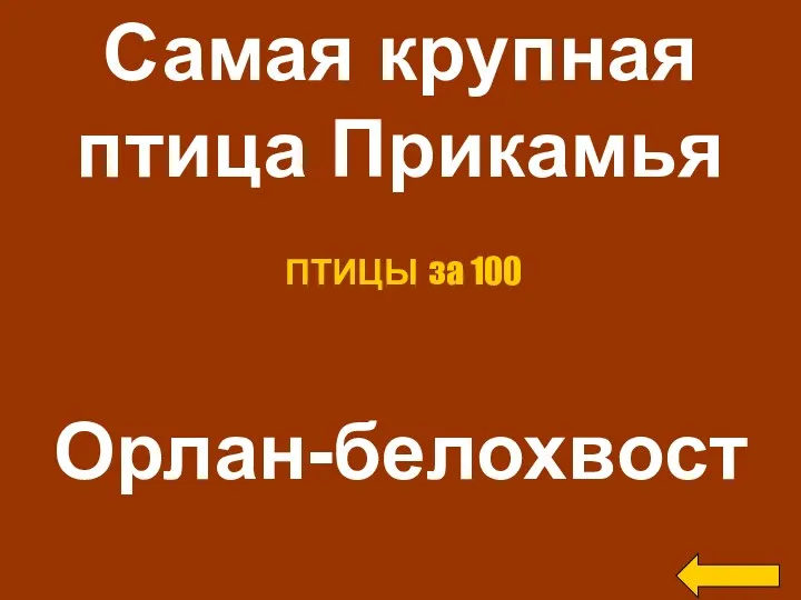 Самая крупная птица Прикамья Орлан-белохвост ПТИЦЫ за 100