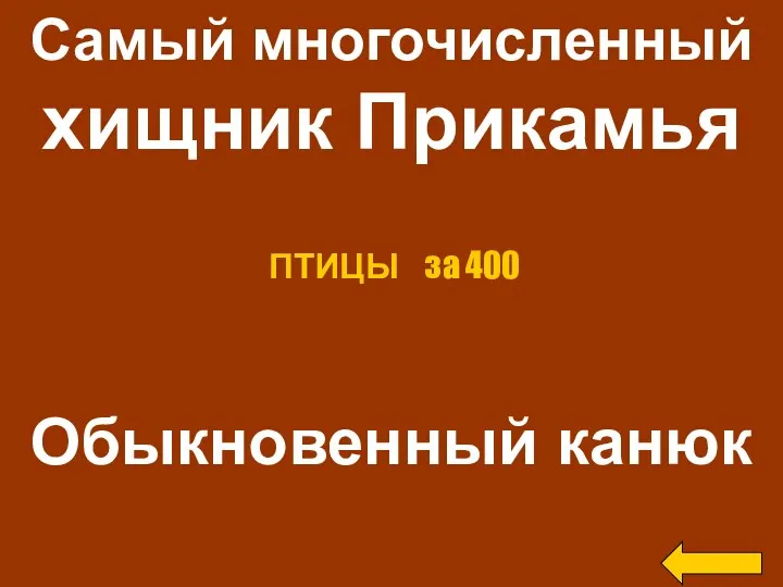 Самый многочисленный хищник Прикамья Обыкновенный канюк ПТИЦЫ за 400