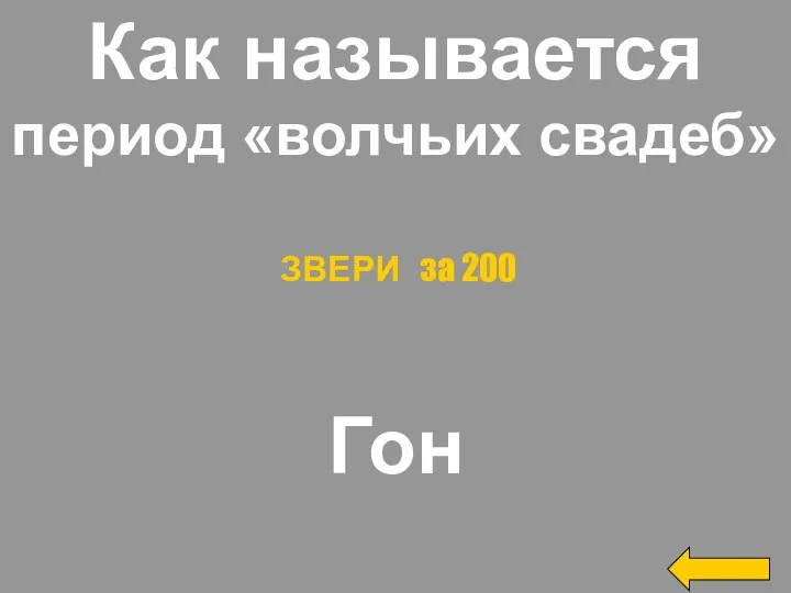 Как называется период «волчьих свадеб» Гон ЗВЕРИ за 200