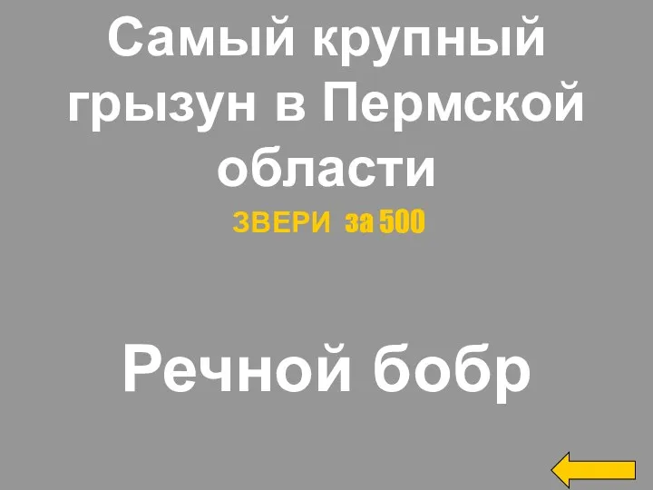 Самый крупный грызун в Пермской области Речной бобр ЗВЕРИ за 500