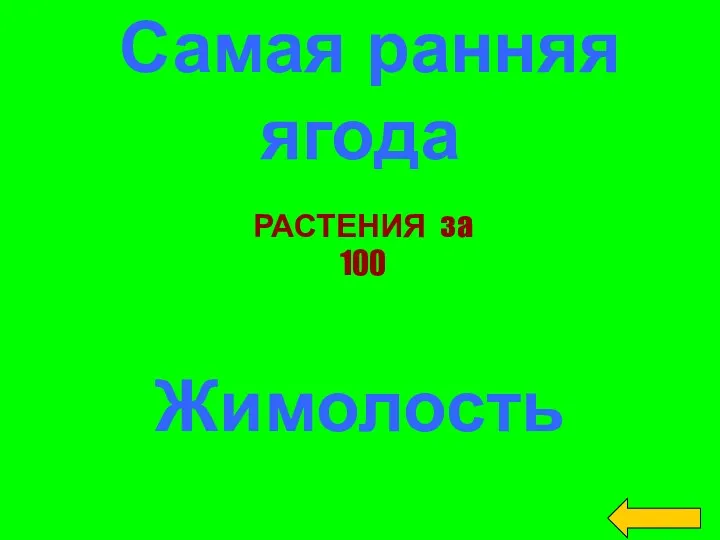 Самая ранняя ягода Жимолость РАСТЕНИЯ за 100