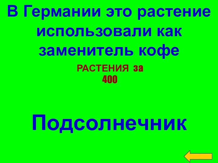 В Германии это растение использовали как заменитель кофе Подсолнечник РАСТЕНИЯ за 400