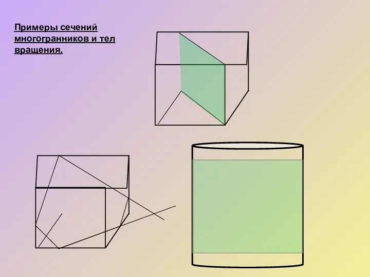Примеры сечений многогранников и тел вращения.