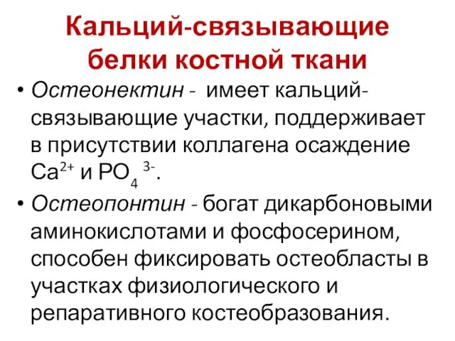 Кальций-связывающие белки костной ткани Остеонектин - имеет кальций-связывающие участки, поддерживает в присутствии коллагена