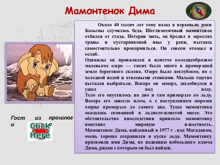 Мамонтенок Дима Около 40 тысяч лет тому назад в верховьях реки Колымы случилась