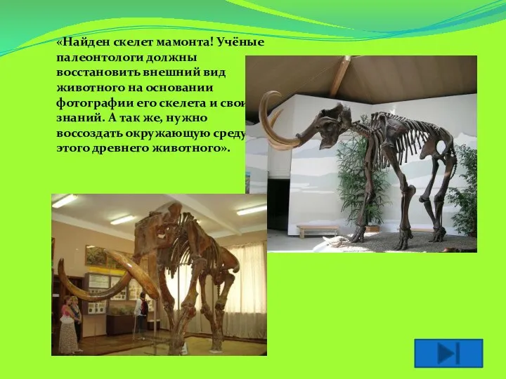 «Найден скелет мамонта! Учёные палеонтологи должны восстановить внешний вид животного на основании фотографии