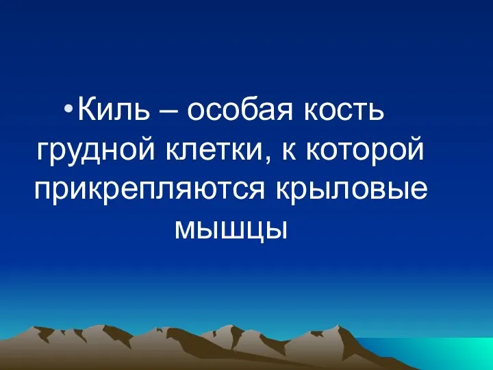 Киль – особая кость грудной клетки, к которой прикрепляются крыловые мышцы