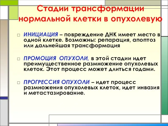 Стадии трансформации нормальной клетки в опухолевую ИНИЦИАЦИЯ – повреждение ДНК