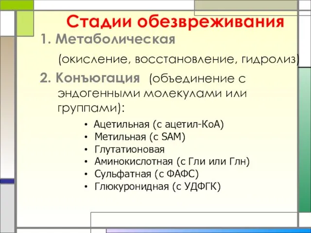 Стадии обезвреживания 1. Метаболическая (окисление, восстановление, гидролиз) 2. Конъюгация (объединение