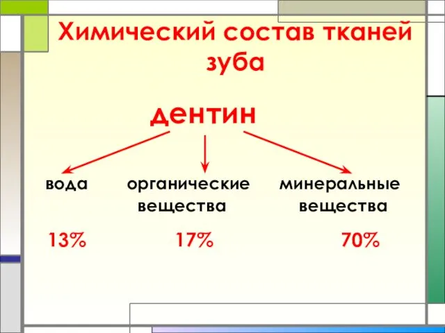 Химический состав тканей зуба дентин 13% 17% 70% вода органические минеральные вещества вещества