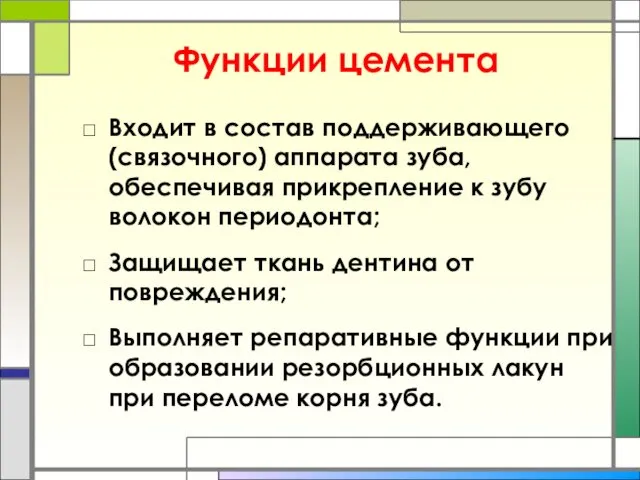 Функции цемента Входит в состав поддерживающего (связочного) аппарата зуба, обеспечивая