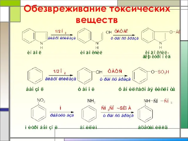 Обезвреживание токсических веществ