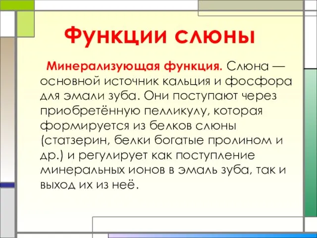 Минерализующая функция. Слюна — основной источник кальция и фосфора для