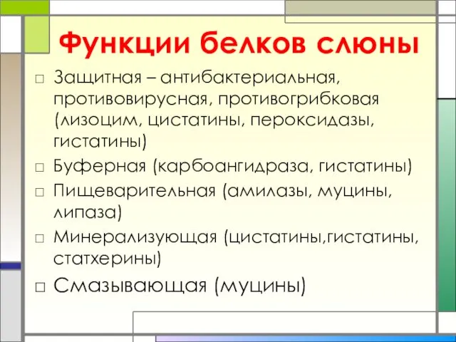 Функции белков слюны Защитная – антибактериальная, противовирусная, противогрибковая (лизоцим, цистатины,