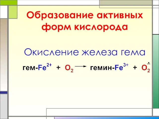 Образование активных форм кислорода Окисление железа гема