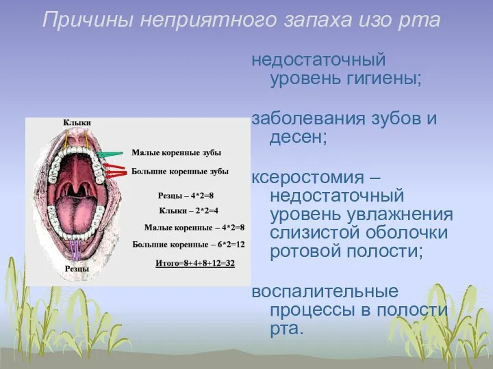 Причины неприятного запаха изо рта недостаточный уровень гигиены; заболевания зубов