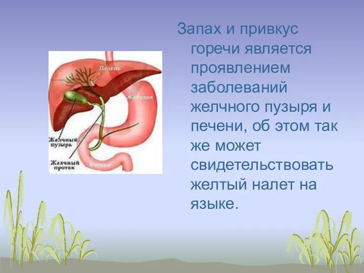 Запах и привкус горечи является проявлением заболеваний желчного пузыря и