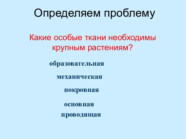 Определяем проблему Какие особые ткани необходимы крупным растениям? образовательная механическая покровная проводящая основная